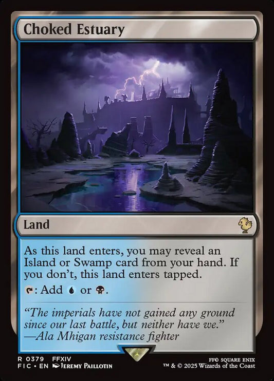 Choked Estuary front