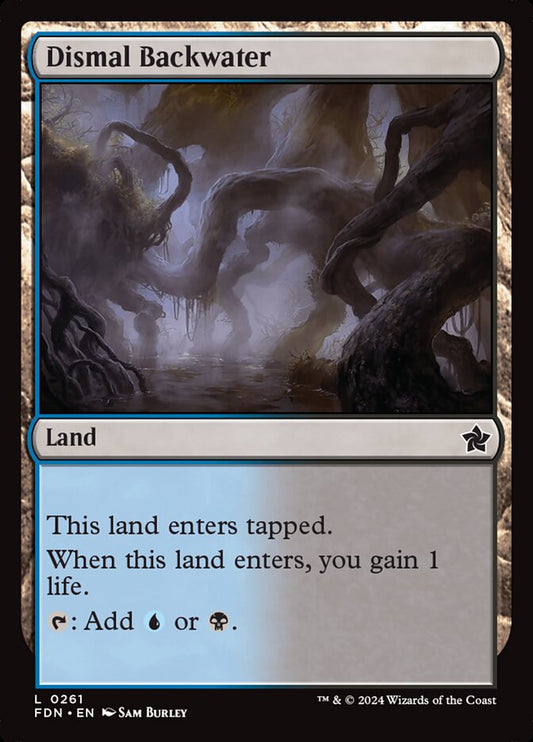 Dismal Backwater front