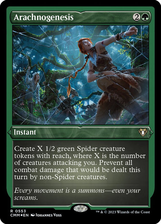 Arachnogenesis front