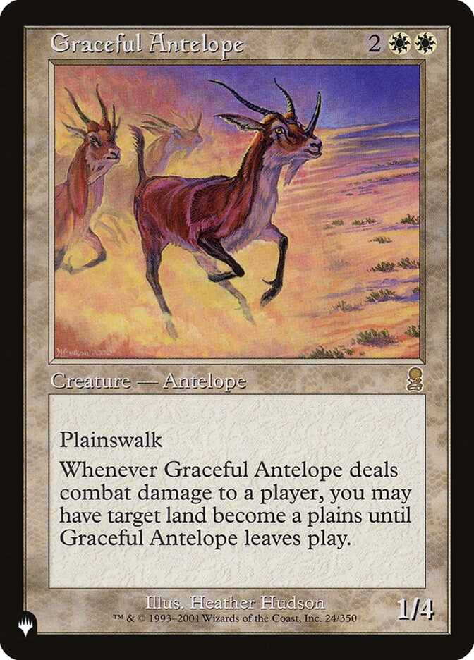 Graceful Antelope front