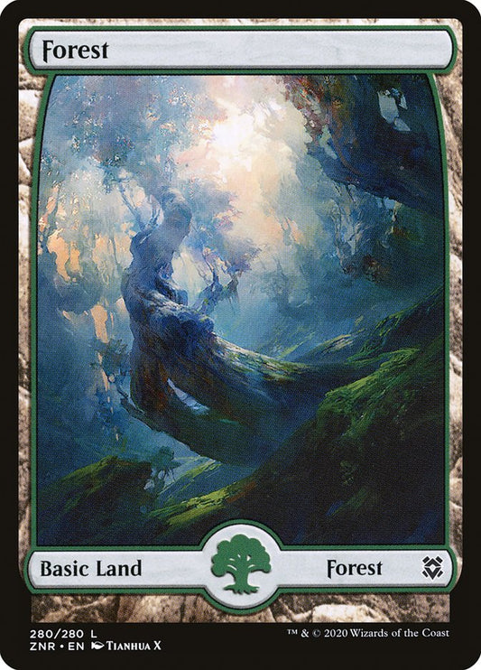 Forest front