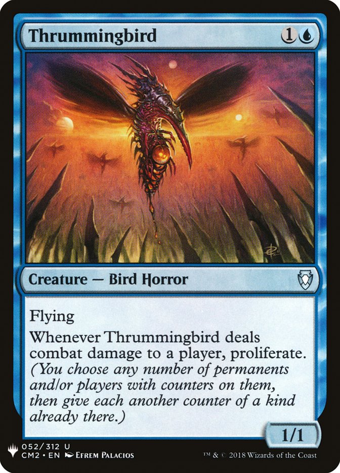Thrummingbird front