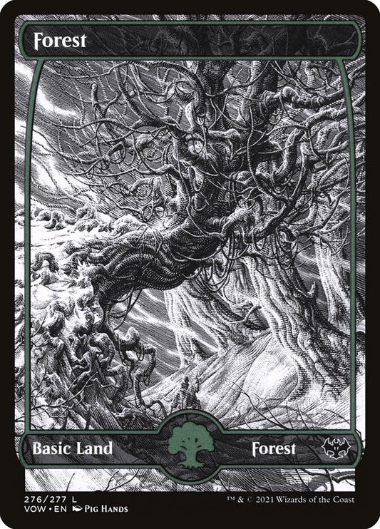 Forest front
