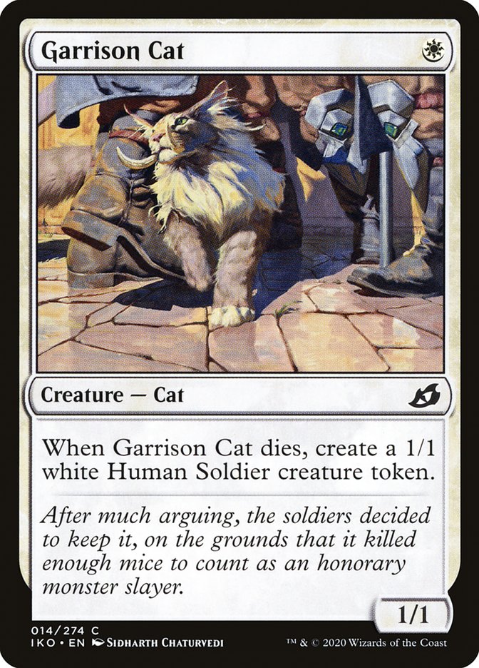Garrison Cat front