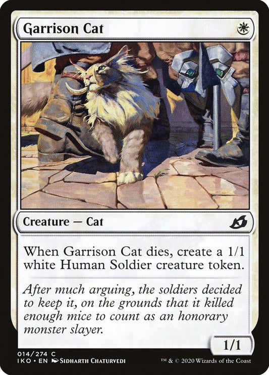 Garrison Cat front