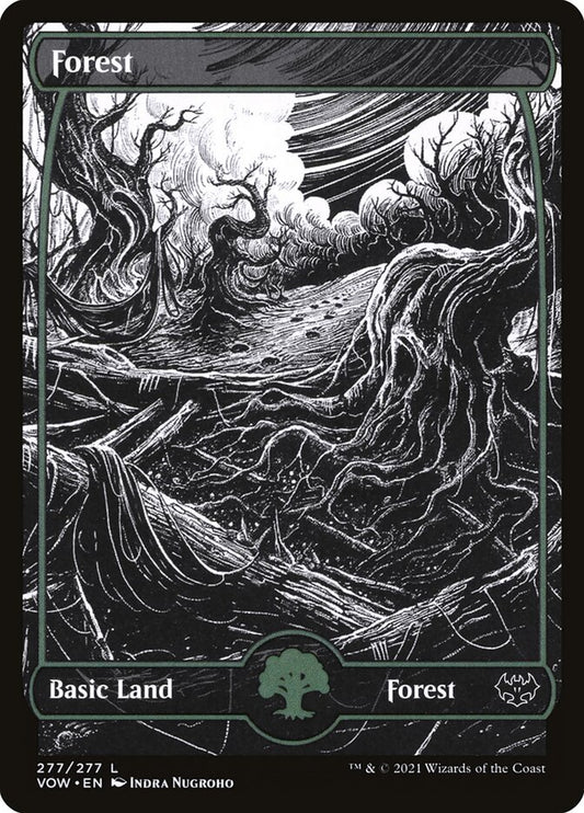 Forest front