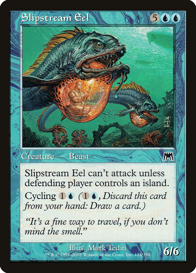 Slipstream Eel front