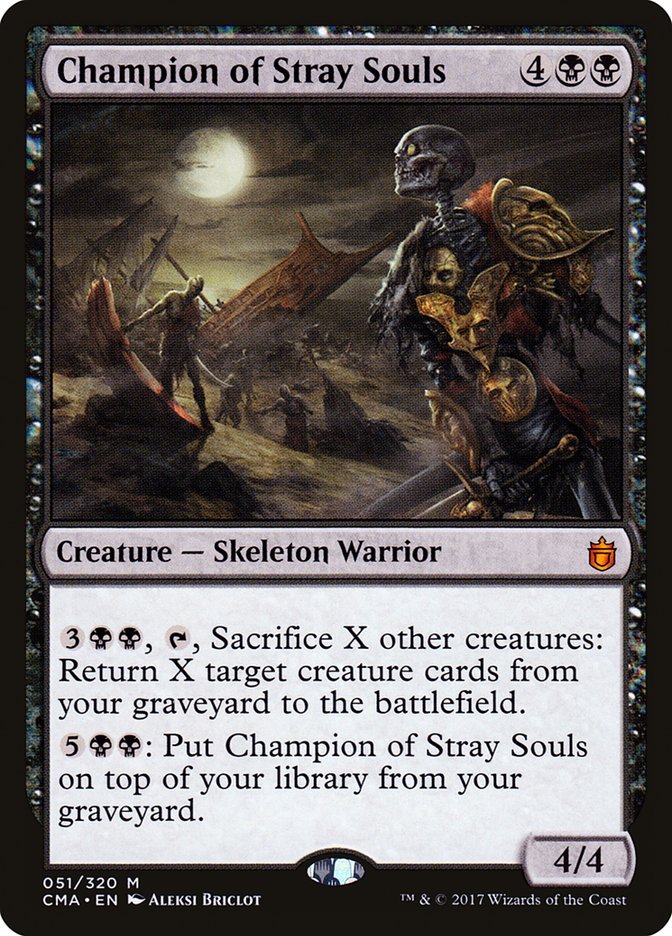 Champion of Stray Souls front