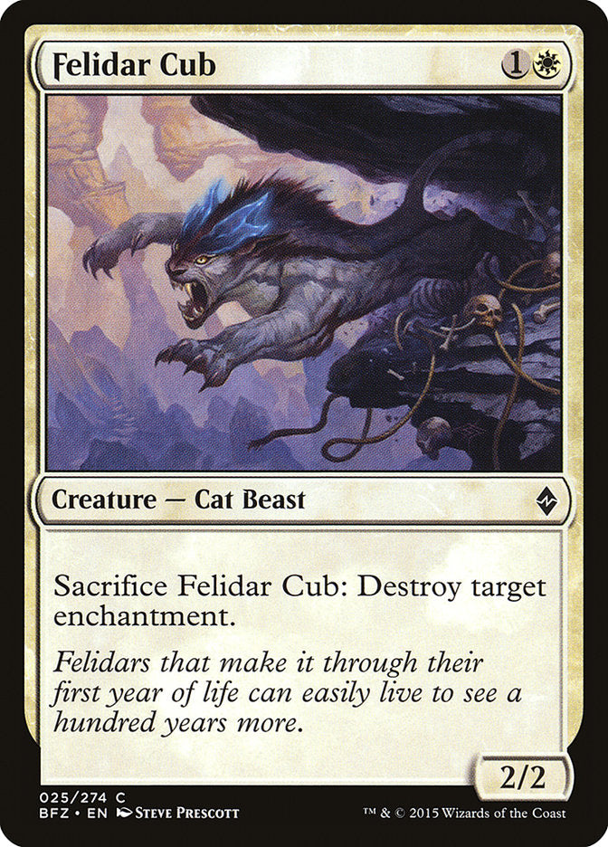 Felidar Cub front