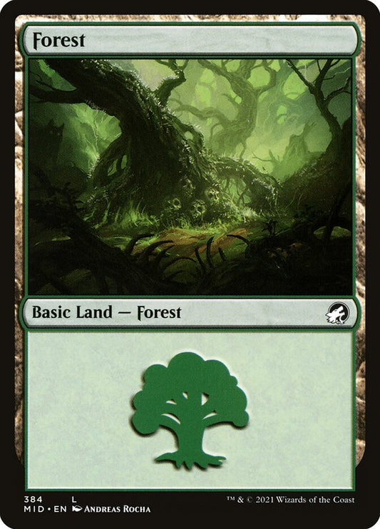 Forest front