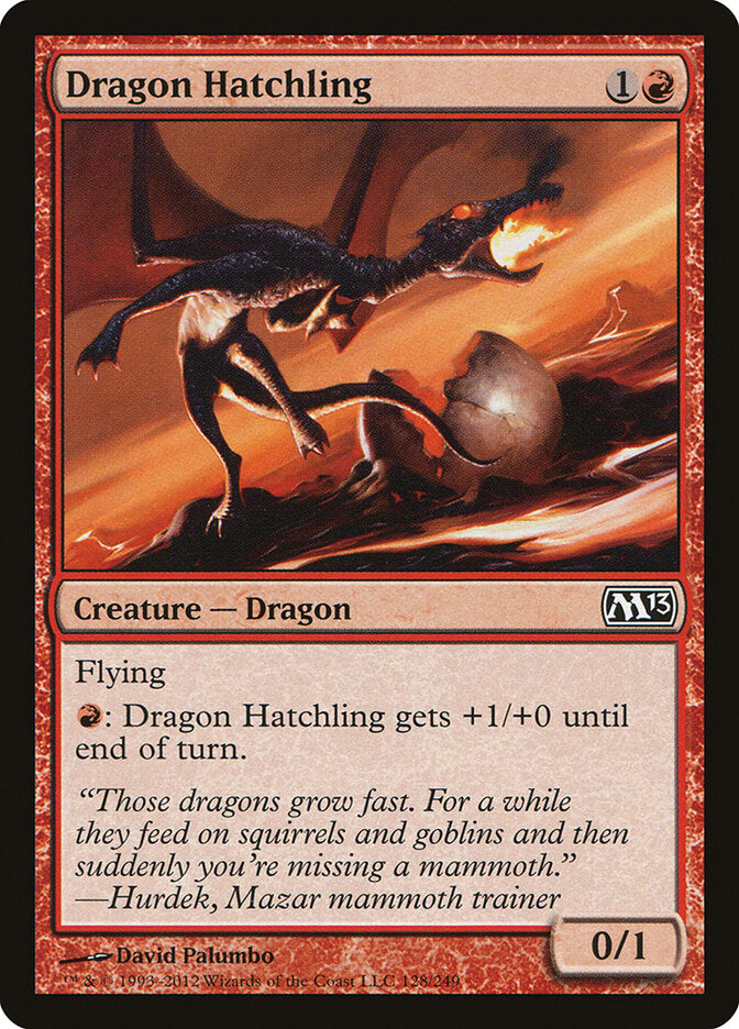 Dragon Hatchling front