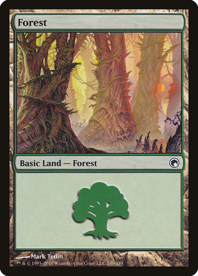 Forest front