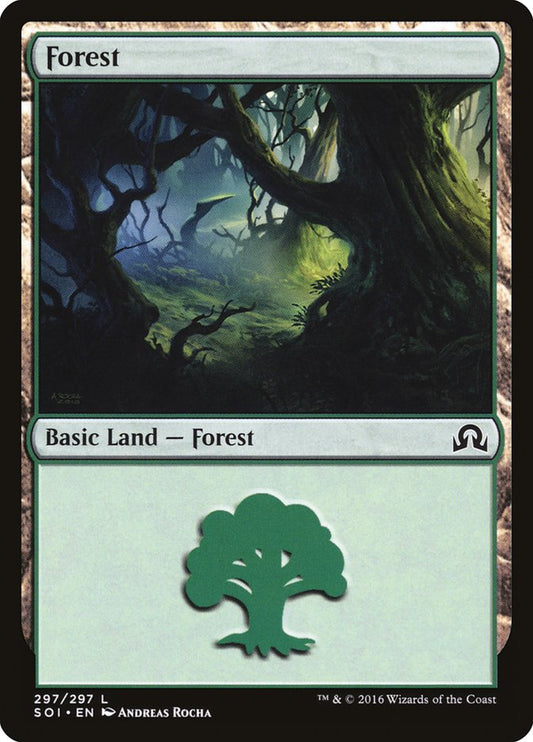 Forest front