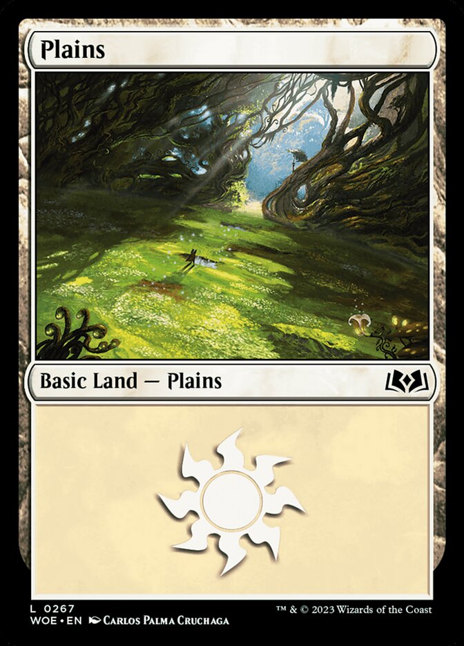 Plains front