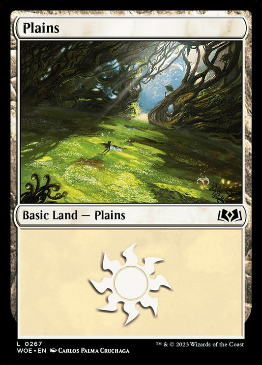 Plains front