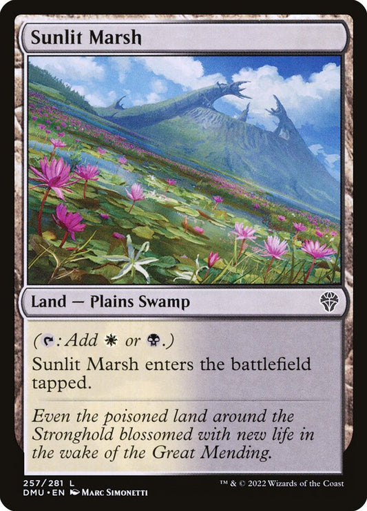 Sunlit Marsh front