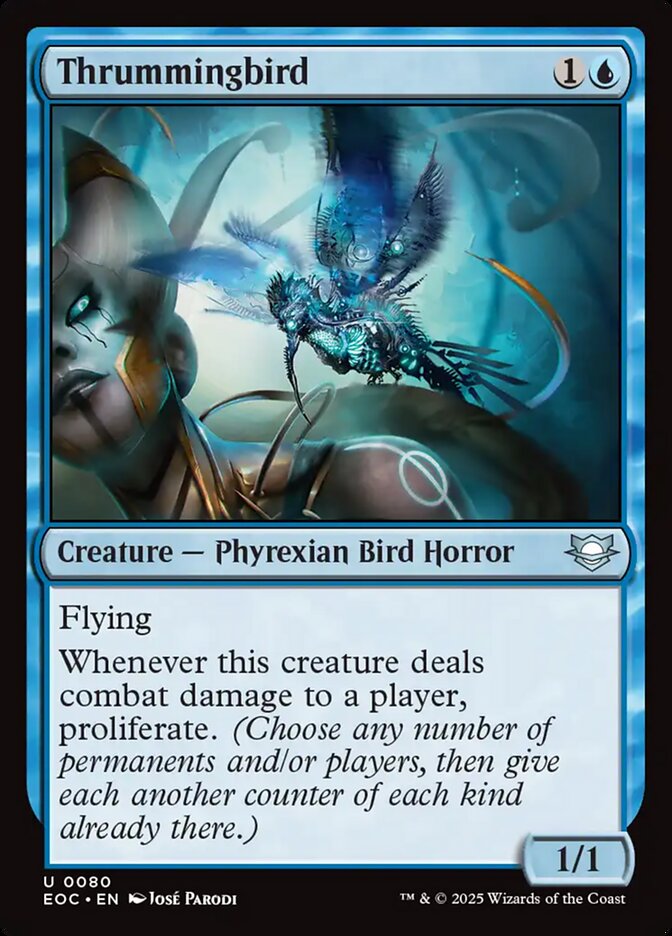 Thrummingbird front