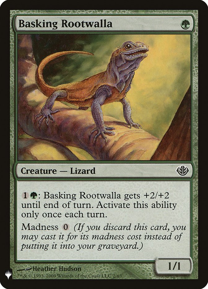 Basking Rootwalla front