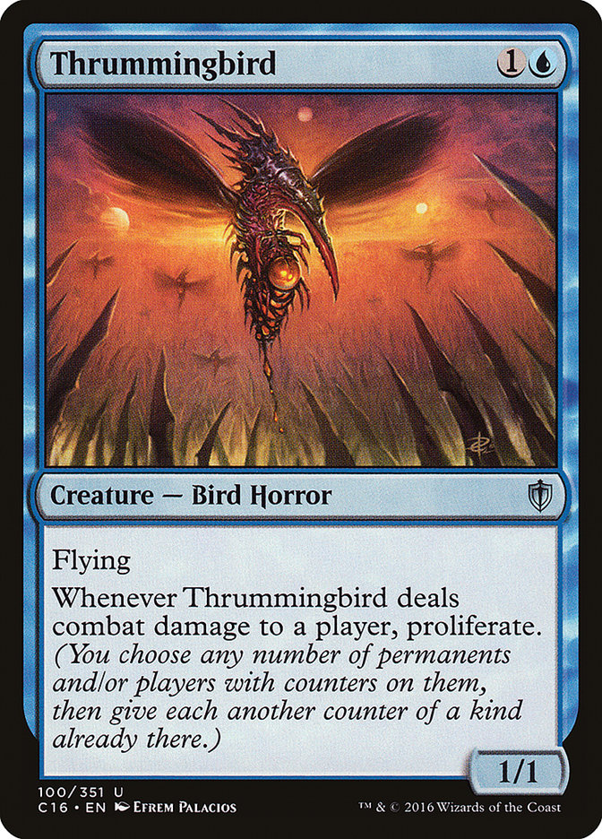 Thrummingbird front