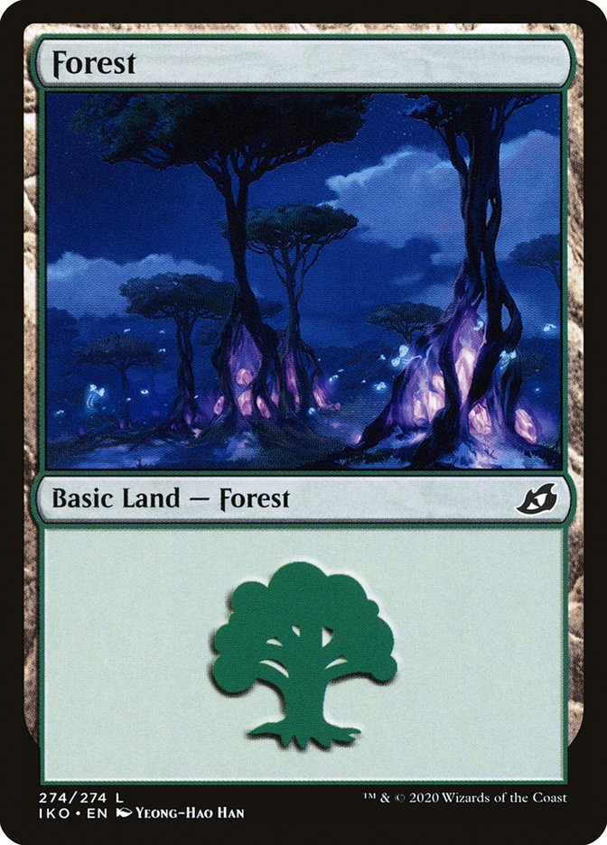 Forest front