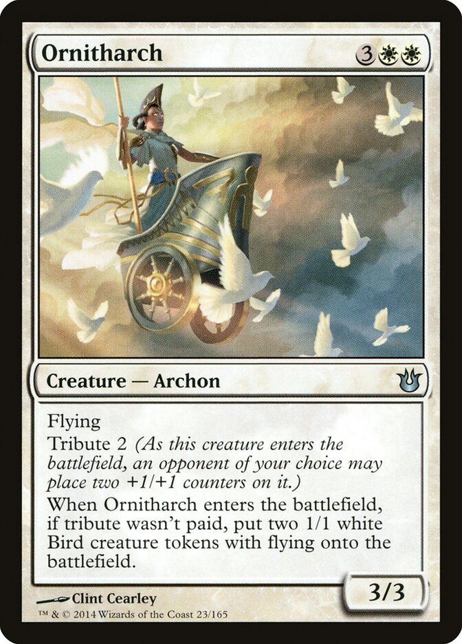 Ornitharch front