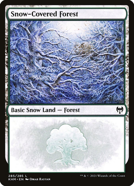 Snow-Covered Forest front