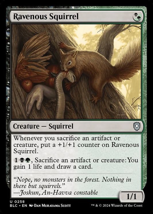 Ravenous Squirrel front